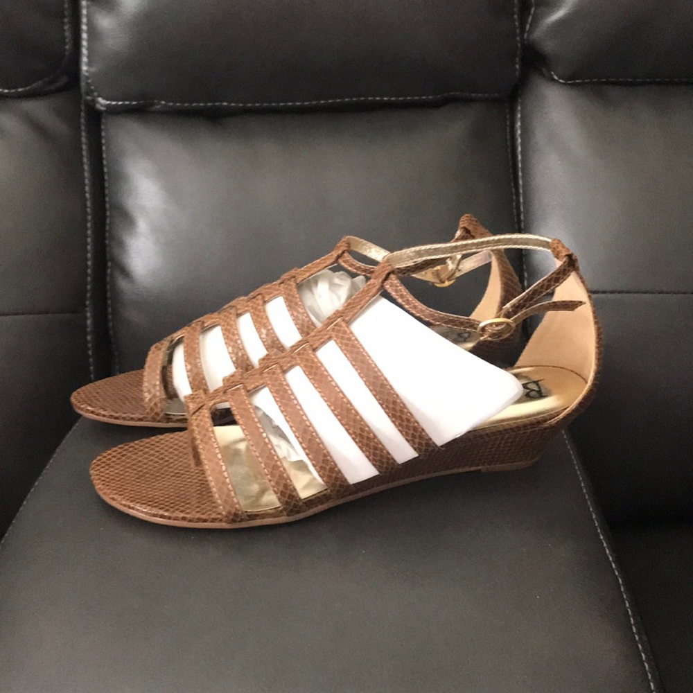 Bellini Fidelity Brown snake